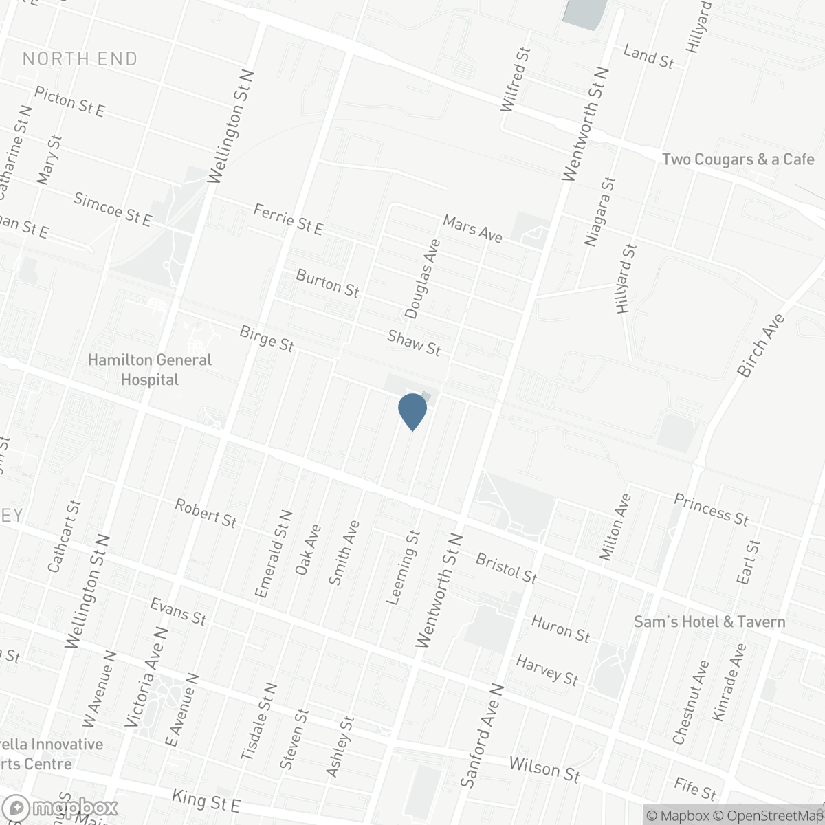 58 ST. MATTHEWS AVENUE, Hamilton, Ontario L8L 5P3